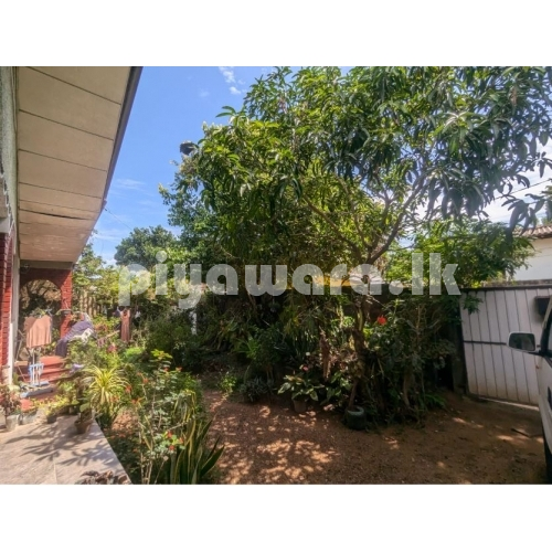 මොරටුව මොරටුමුල්ල නිවස පර් 10