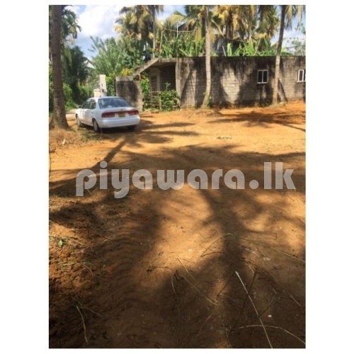 කඩුවෙල - වැලිවිටින් ඉඩමක්