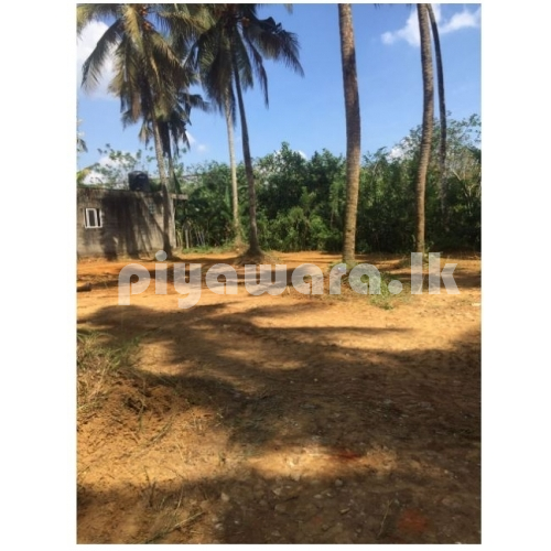 කඩුවෙල - වැලිවිටින් ඉඩමක්