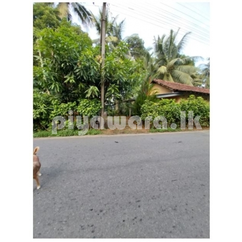 කඩුවෙල රනාල පාර අයිනේ නිවස සහ ඉඩම