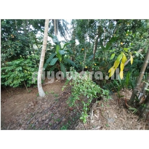 කඩුවෙල රනාල පාර අයිනේ නිවස සහ ඉඩම