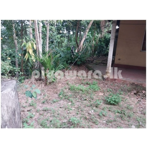 කඩුවෙල රනාල පාර අයිනේ නිවස සහ ඉඩම